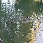 Przytulne Apartamenciki Tuz Przy Termach I Parku, Nieopodal Szlak Na Turbacz, Gpn, Kgp * Poręba Wielka