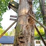 Przytulne Apartamenciki Tuz Przy Termach I Parku, Nieopodal Szlak Na Turbacz, Gpn, Kgp * Poręba Wielka