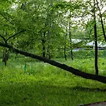 Przytulne Apartamenciki Tuz Przy Termach I Parku, Nieopodal Szlak Na Turbacz, Gpn, Kgp Διαμέρισμα