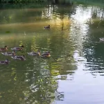 Przytulne Apartamenciki Tuz Przy Termach I Parku, Nieopodal Szlak Na Turbacz, Gpn, Kgp * Poręba Wielka