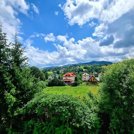 Przy Parku Wodzickich