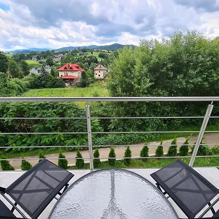 Przy Parku Wodzickich *