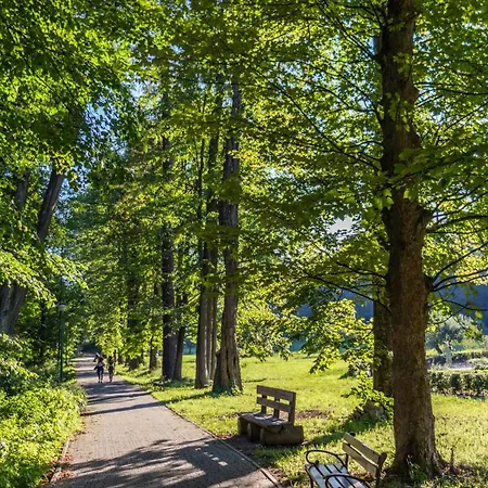 Przy Parku Wodzickich Апартаменты Poreba Wielka (Limanowa)