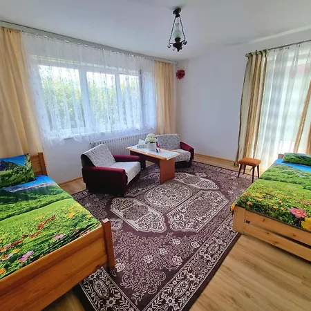 Przy Parku Wodzickich