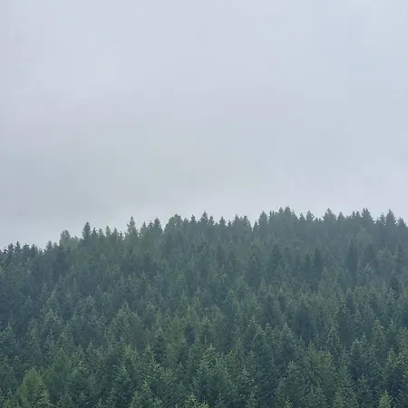 Przytulne Apartamenciki Tuz Przy Termach I Parku, Nieopodal Szlak Na Turbacz, Gpn, Kgp * Poręba Wielka