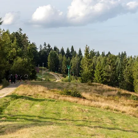 Апартаменты Przy Parku Wodzickich Poreba Wielka (Limanowa)