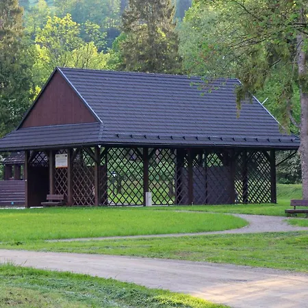 Przy Parku Wodzickich *