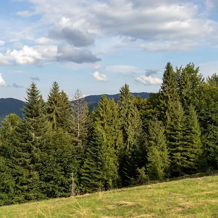 Przy Parku Wodzickich * Poreba Wielka (Limanowa)