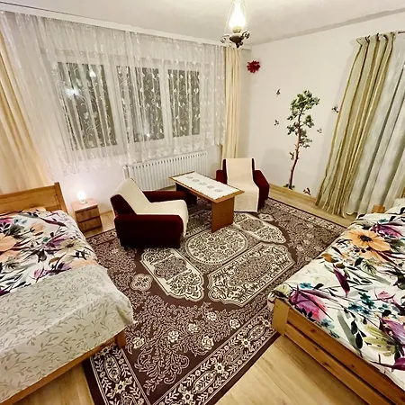 Apartment Przy Parku Wodzickich *