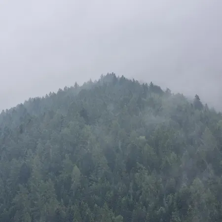 Przy Parku Wodzickich - Blisko Term, Turbacz, Kgp *