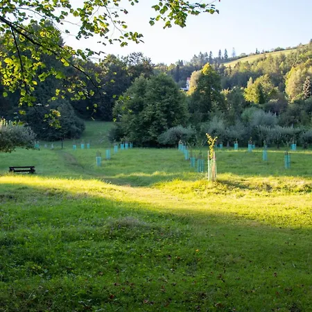 Przy Parku Wodzickich - Blisko Term, Turbacz, Kgp 아파트