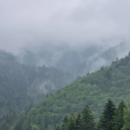 Przytulne Apartamenciki Tuz Przy Termach I Parku, Nieopodal Szlak Na Turbacz, Gpn, Kgp Lejlighed *