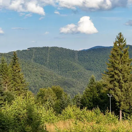 Przy Parku Wodzickich Апартаменты Poreba Wielka (Limanowa)