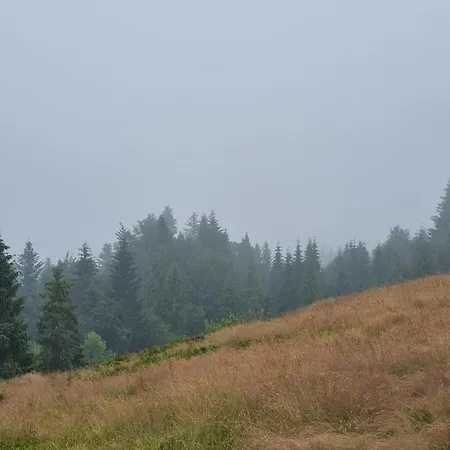 Przy Parku Wodzickich - Blisko Term, Turbacz, Kgp Poręba Wielka