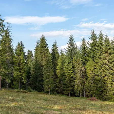 Apartment Przy Parku Wodzickich