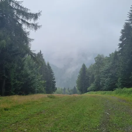 Przy Parku Wodzickich Апартаменты *