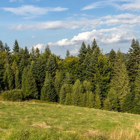 Апартаменты Przy Parku Wodzickich Poreba Wielka (Limanowa)