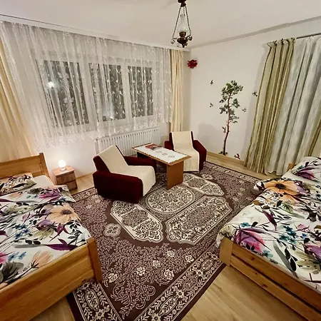 Przy Parku Wodzickich Apartment