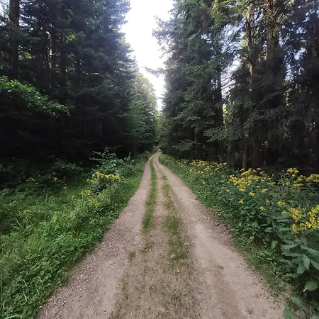 Przy Parku Wodzickich - Blisko Term, Turbacz, Kgp *