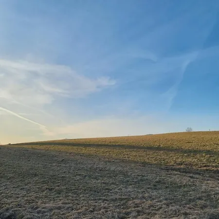 Przy Parku Wodzickich