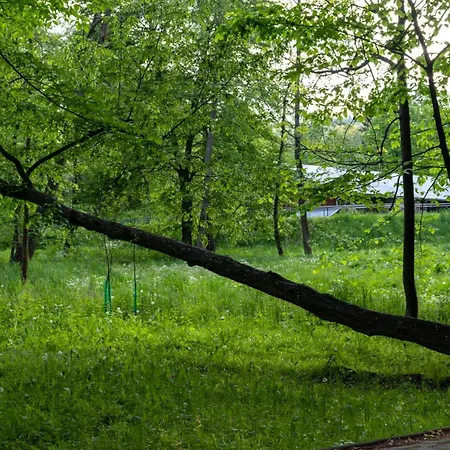 Przy Parku Wodzickich Apartment