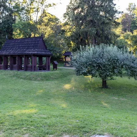 Przy Parku Wodzickich Apartment *