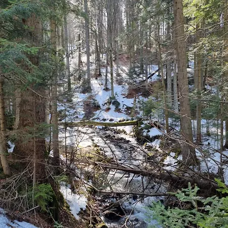Przytulne Apartamenciki Tuz Przy Termach I Parku, Nieopodal Szlak Na Turbacz, Gpn, Kgp * Poręba Wielka
