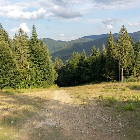 Przy Parku Wodzickich Апартаменты