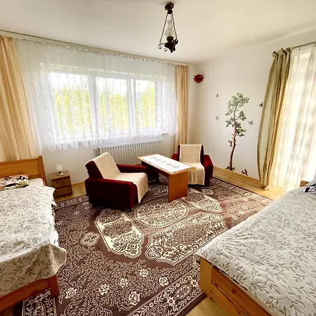 Przy Parku Wodzickich Apartment